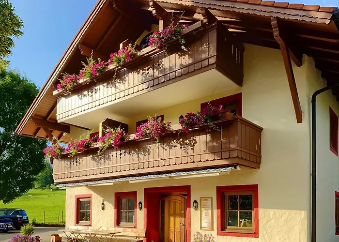 Carina Πανσιόν